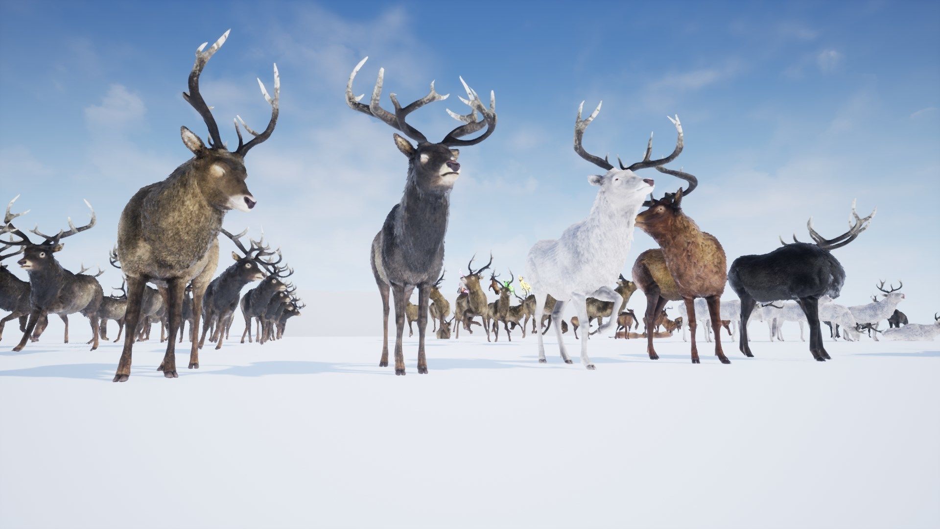 Realistic Deer-Stag Low-poly 3D model_31