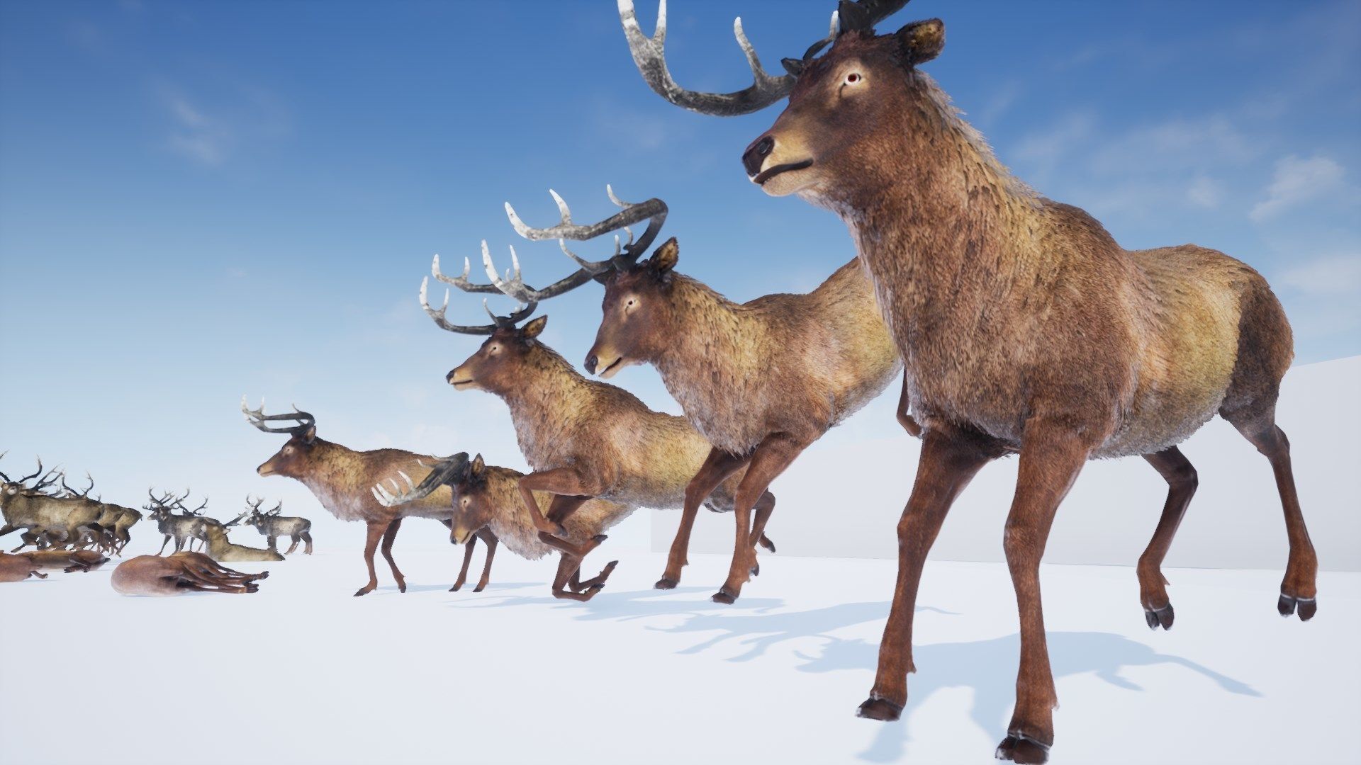 Realistic Deer-Stag Low-poly 3D model_32