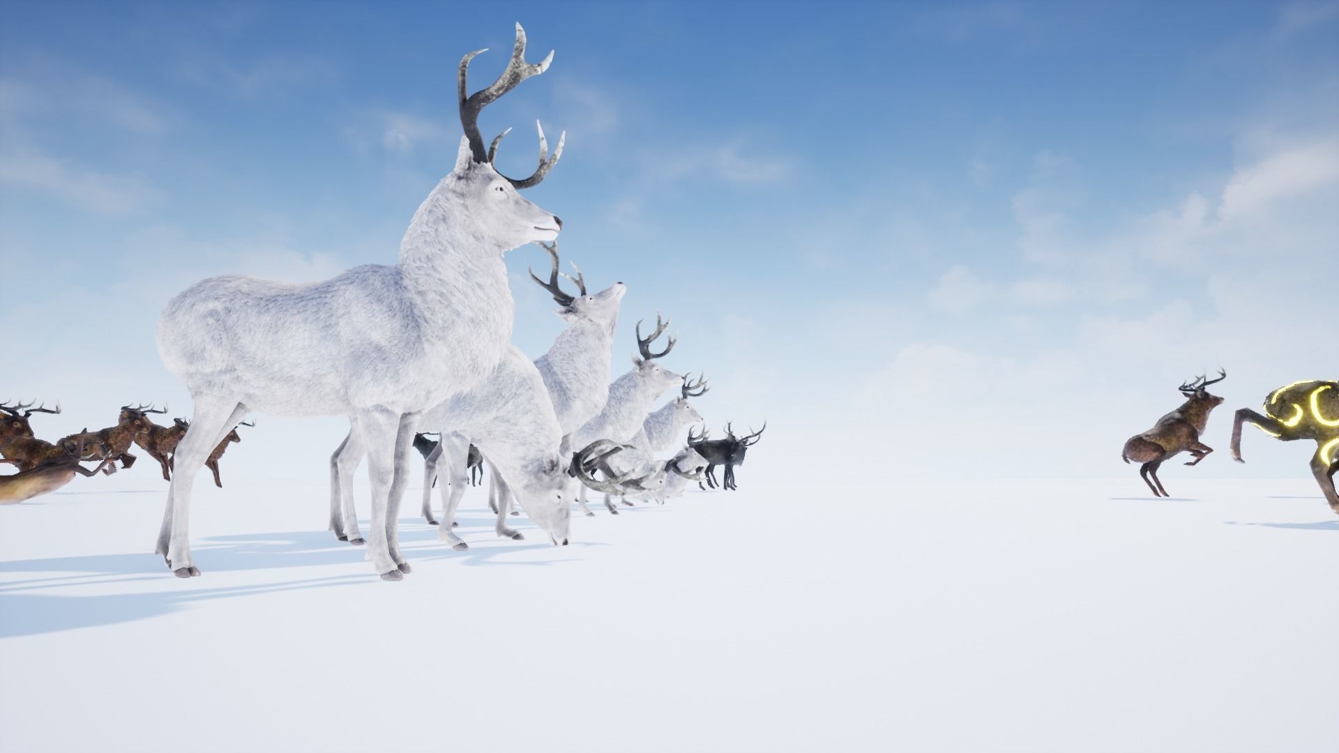 Realistic Deer-Stag Low-poly 3D model_29