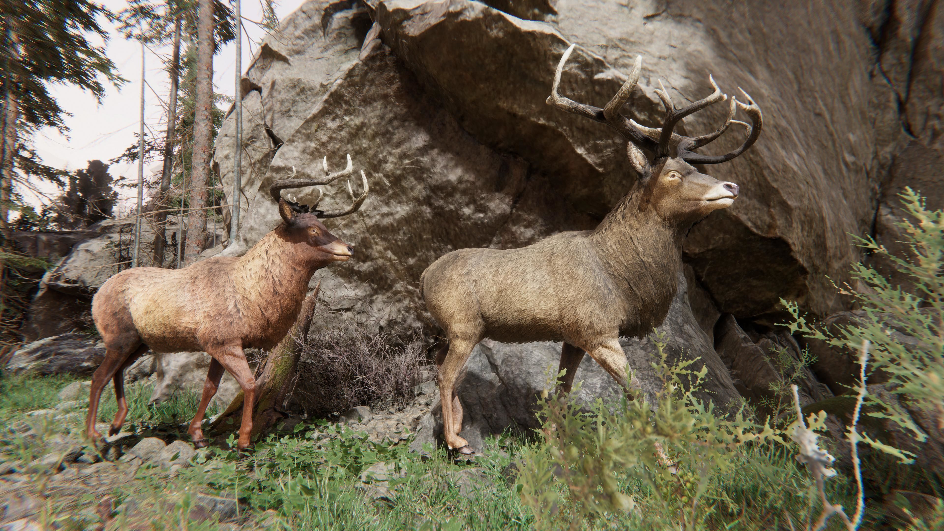 Realistic Deer-Stag Low-poly 3D model_3