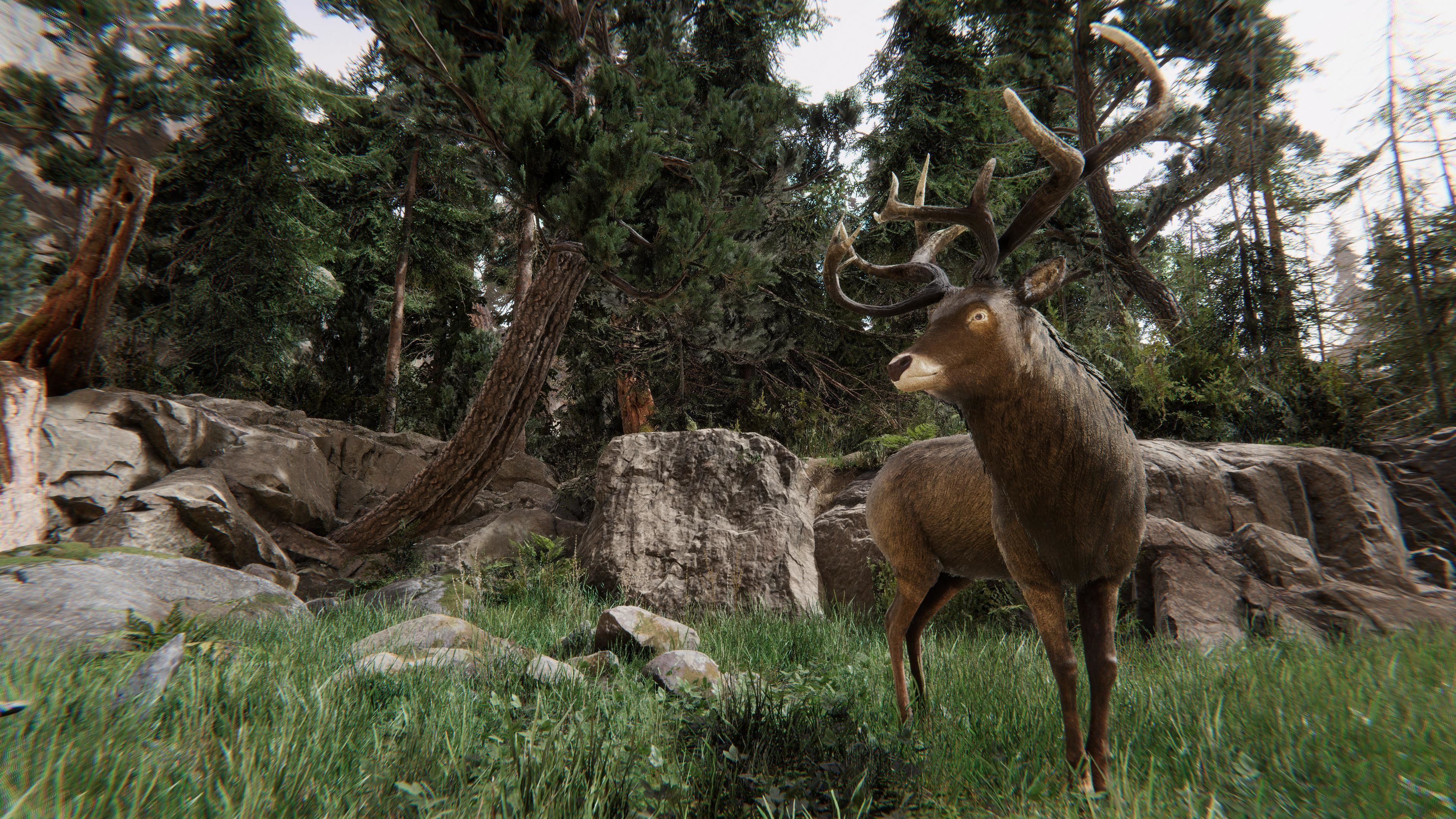 Realistic Deer-Stag Low-poly 3D model_8