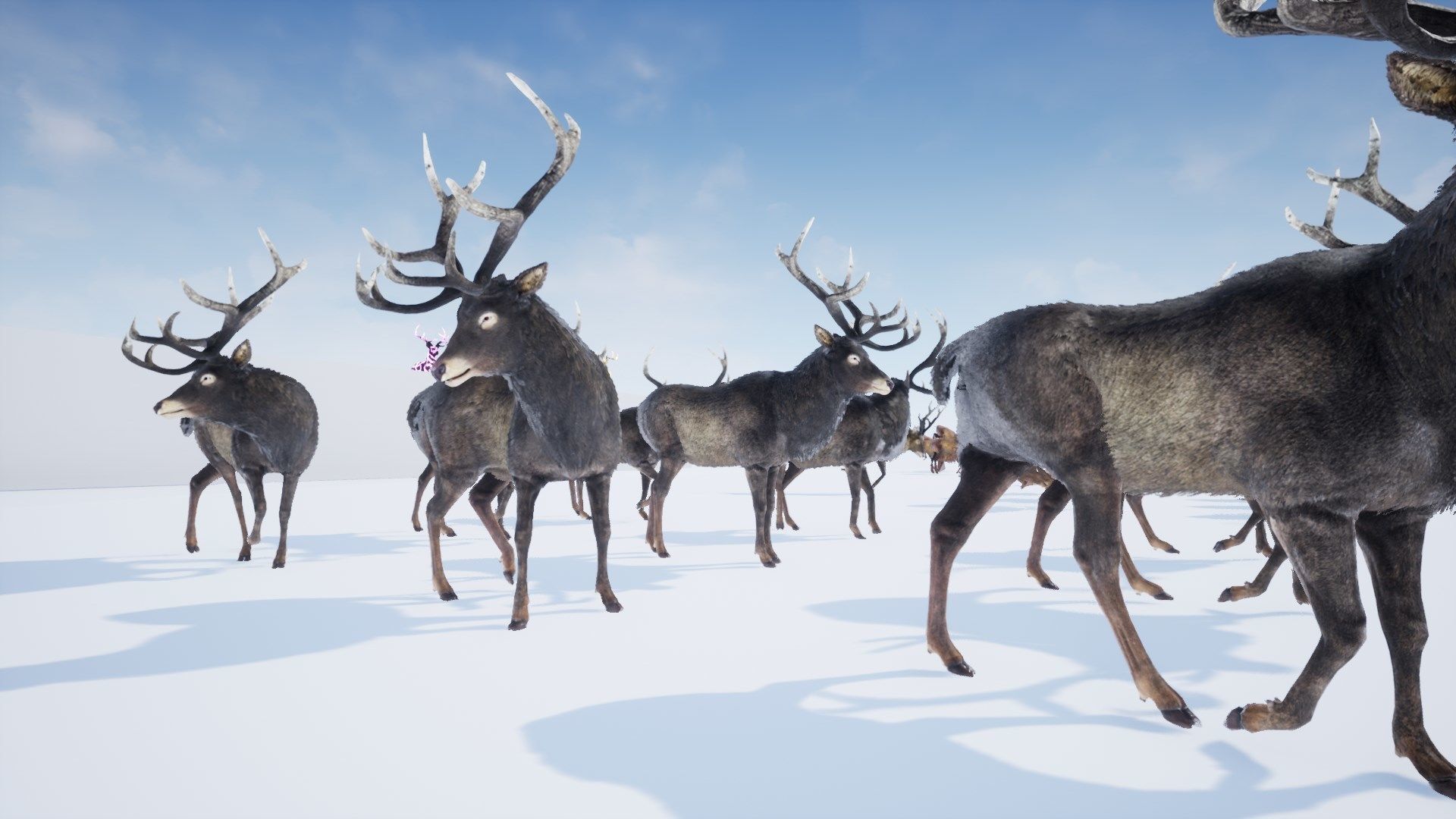 Realistic Deer-Stag Low-poly 3D model_35