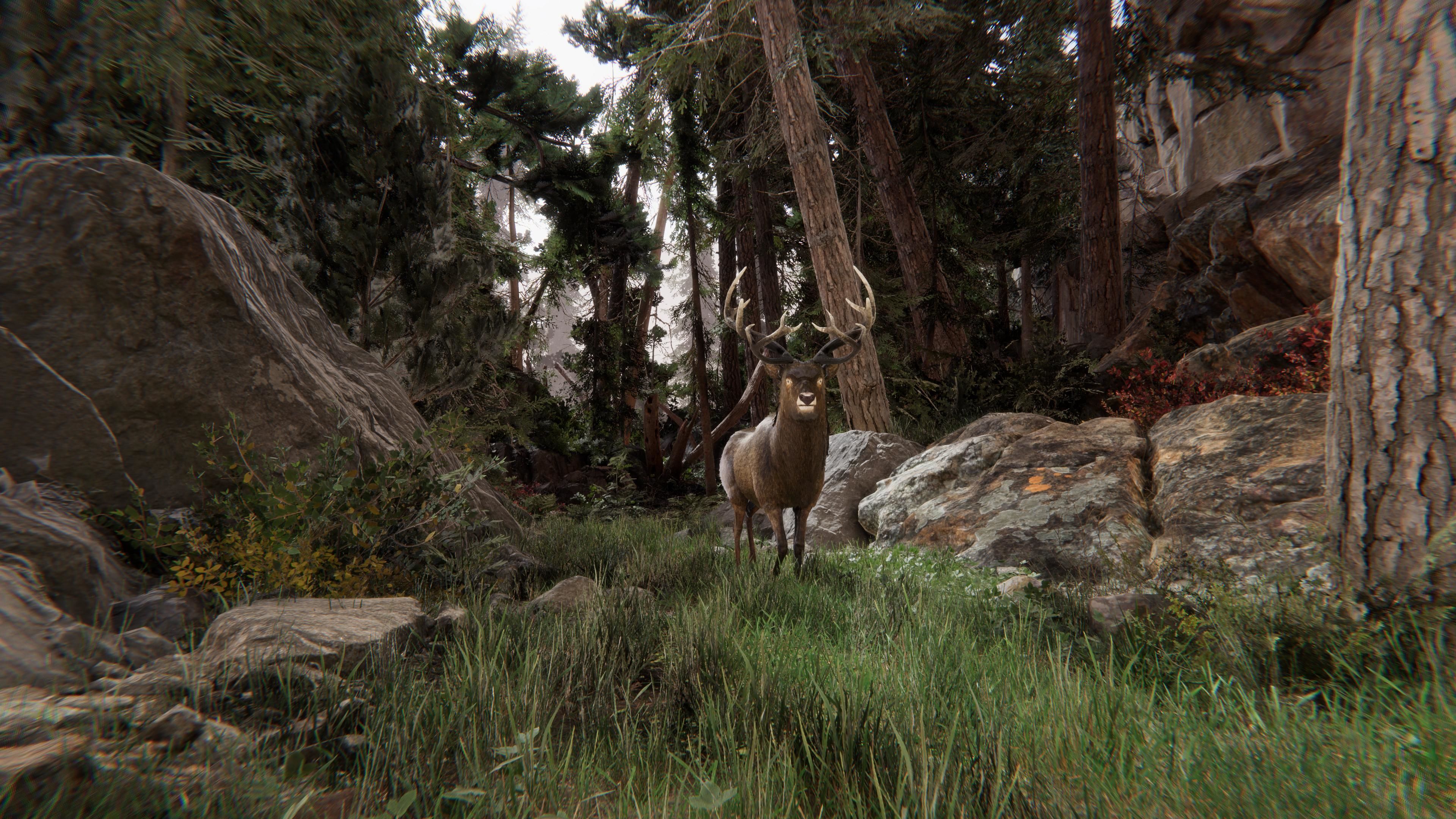 Realistic Deer-Stag Low-poly 3D model_18