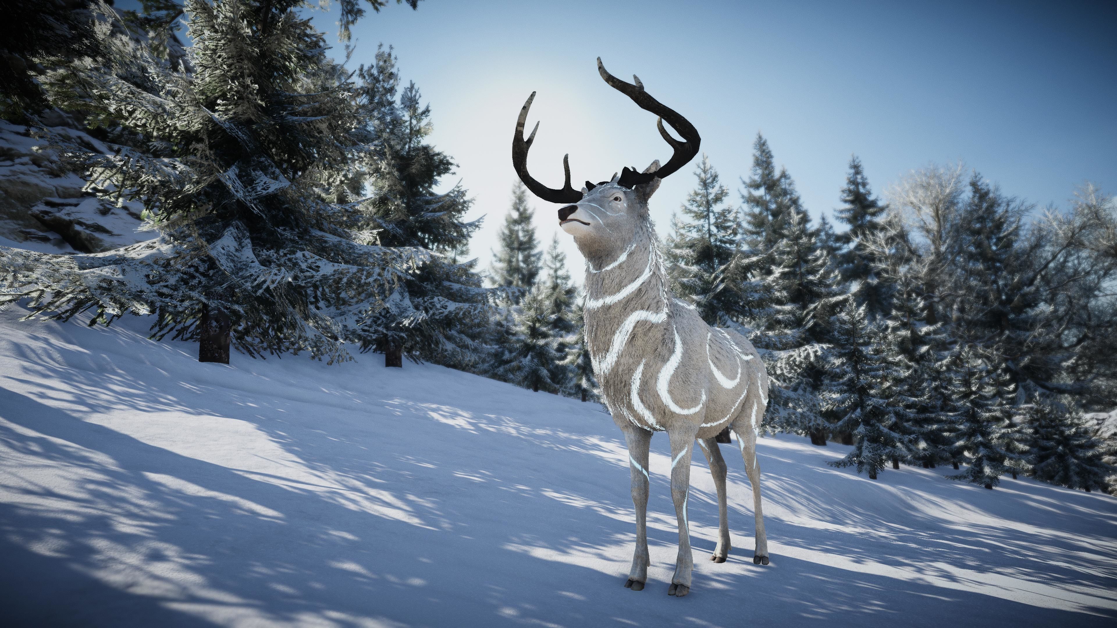 Realistic Deer-Stag Low-poly 3D model_19