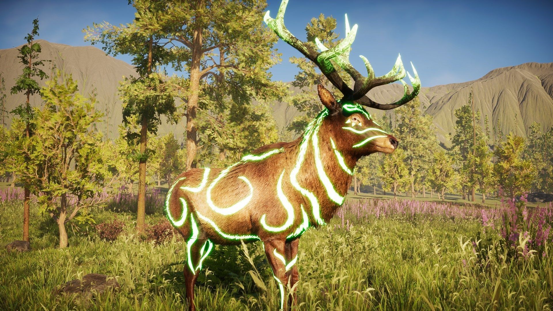 Realistic Deer-Stag Low-poly 3D model_20