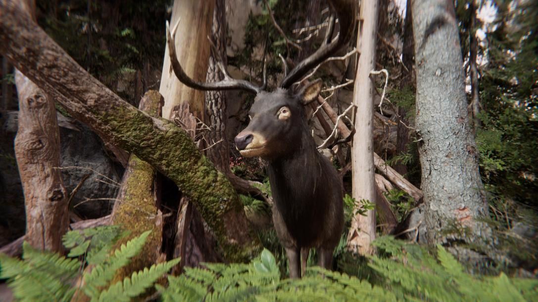 Realistic Deer-Stag Low-poly 3D model_17