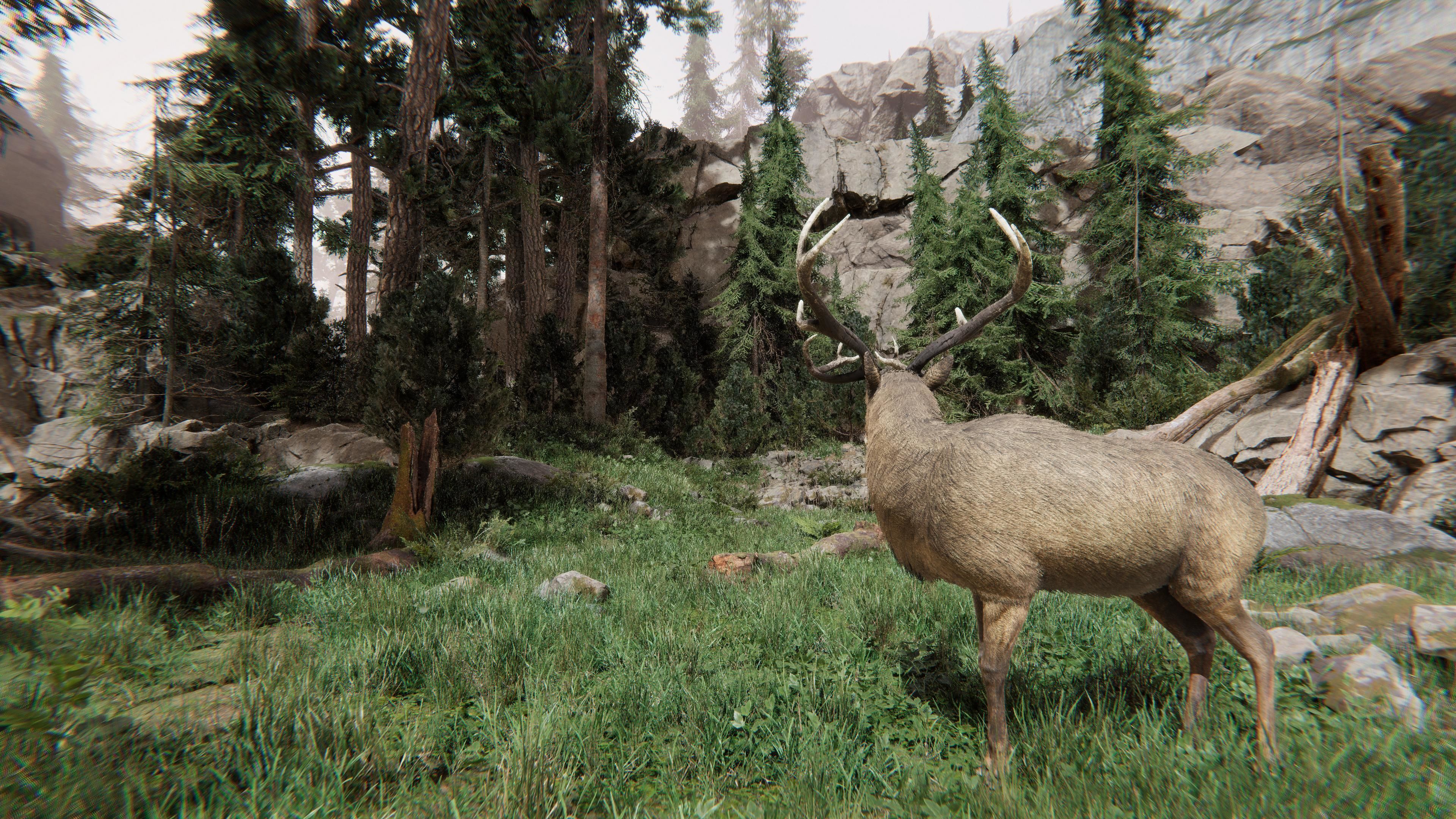 Realistic Deer-Stag Low-poly 3D model_7