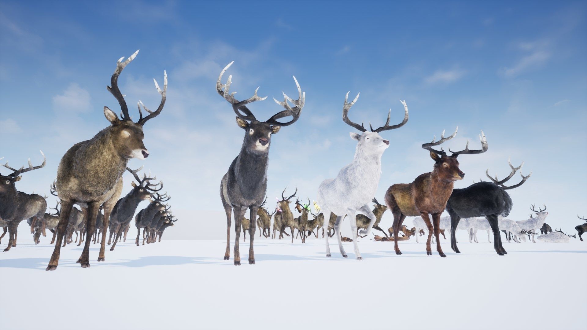 Realistic Deer-Stag Low-poly 3D model_38