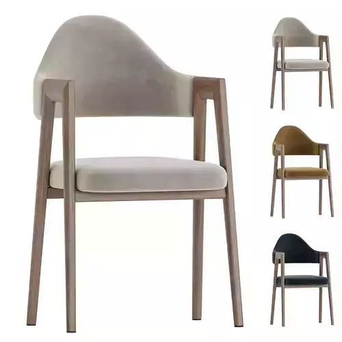luxury dining chair
