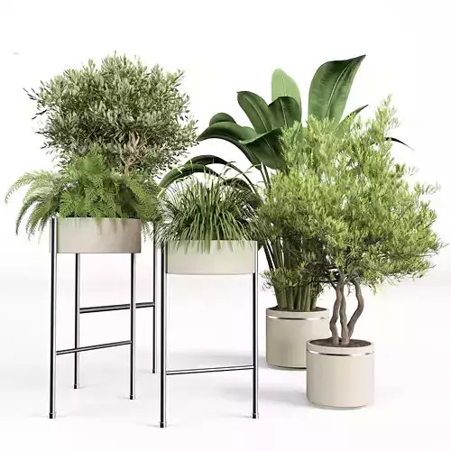 indoor plant set 08