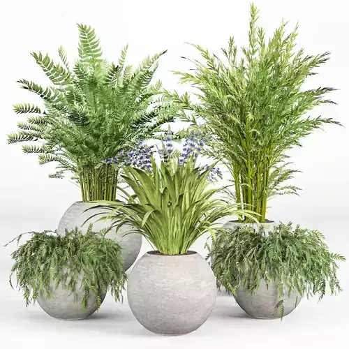 indoor plant set 09