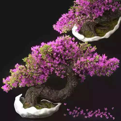 Bonsai Flower Set -03