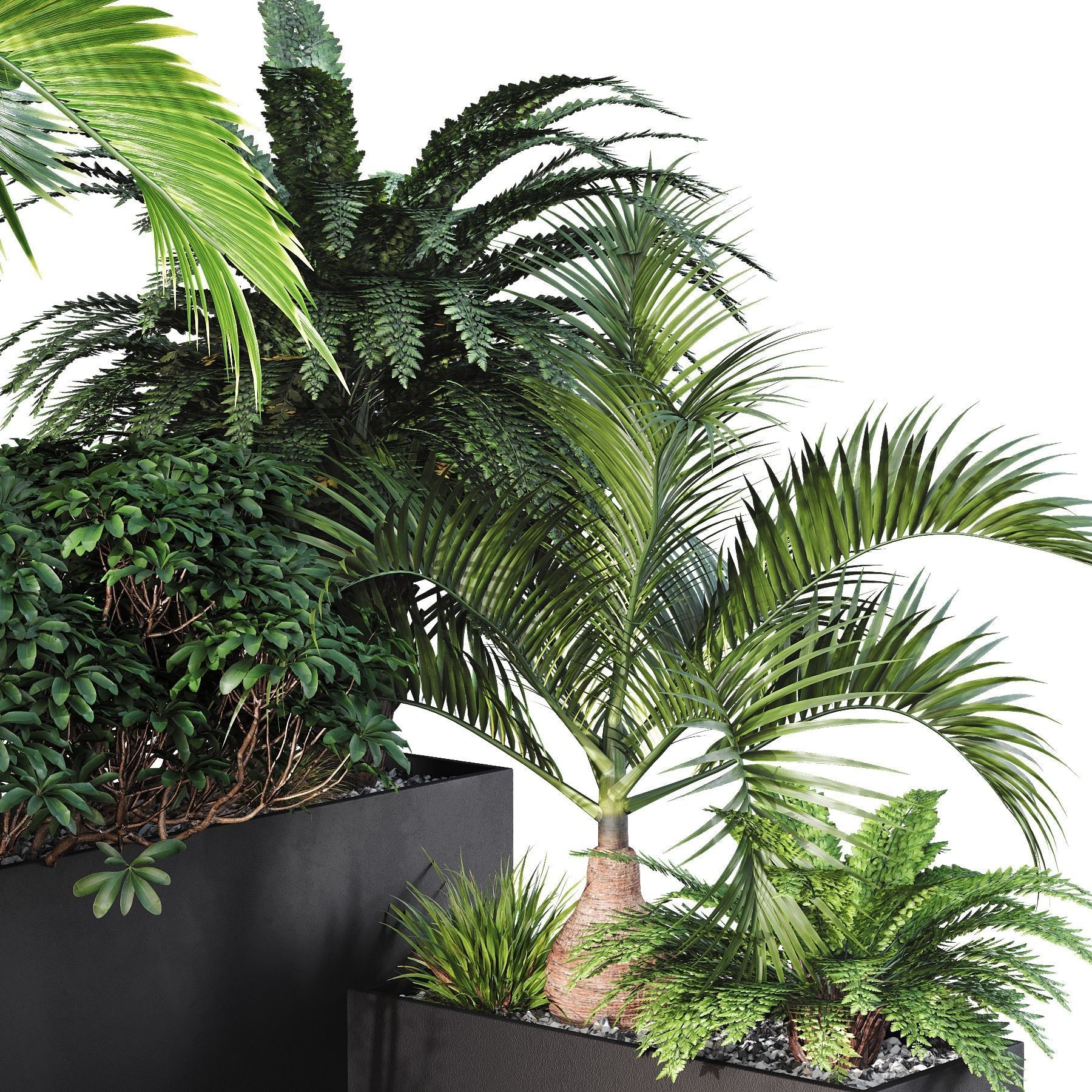 HQ Tree and bush garden box outdoor VOL 09 Free 3D model_1