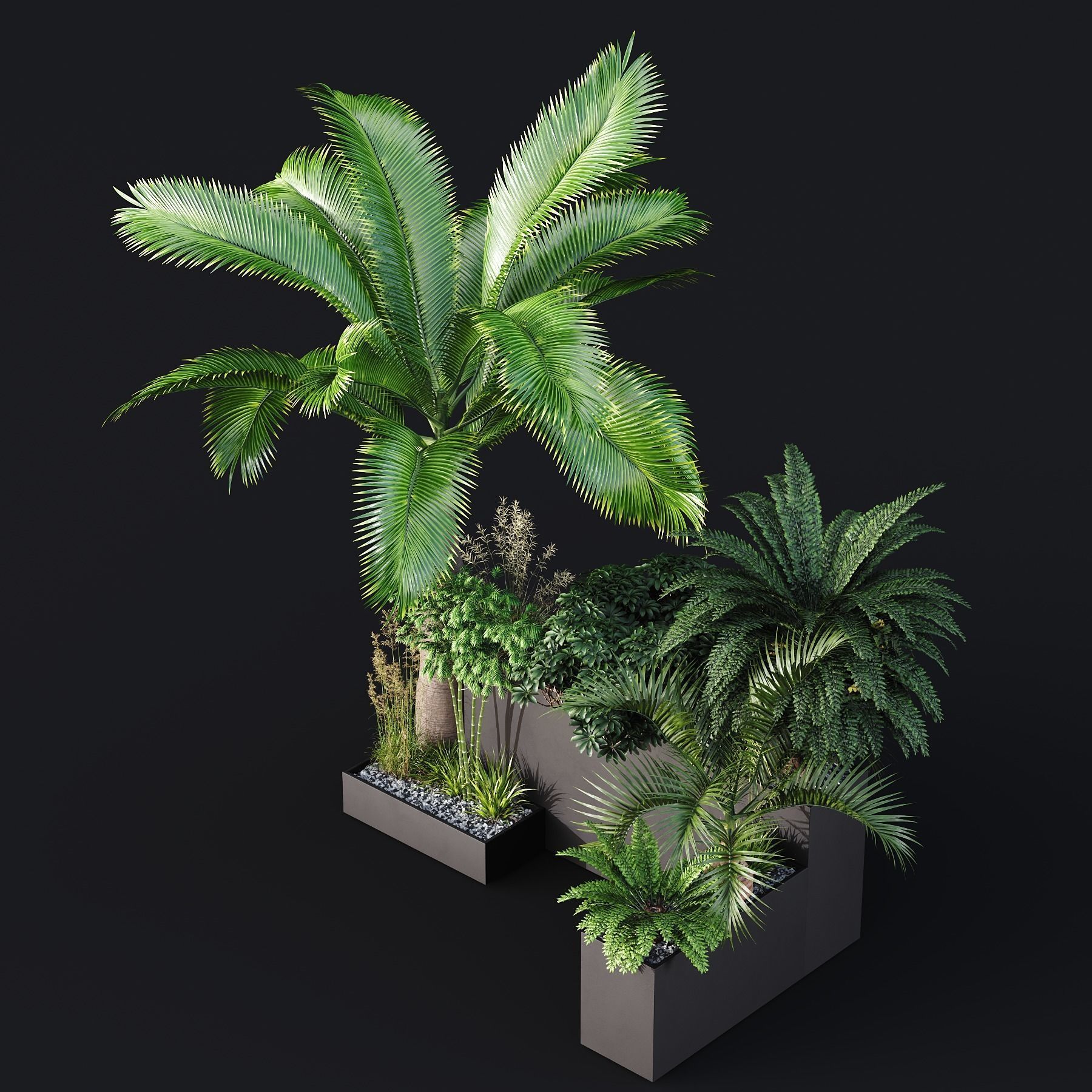 HQ Tree and bush garden box outdoor VOL 09 Free 3D model_2