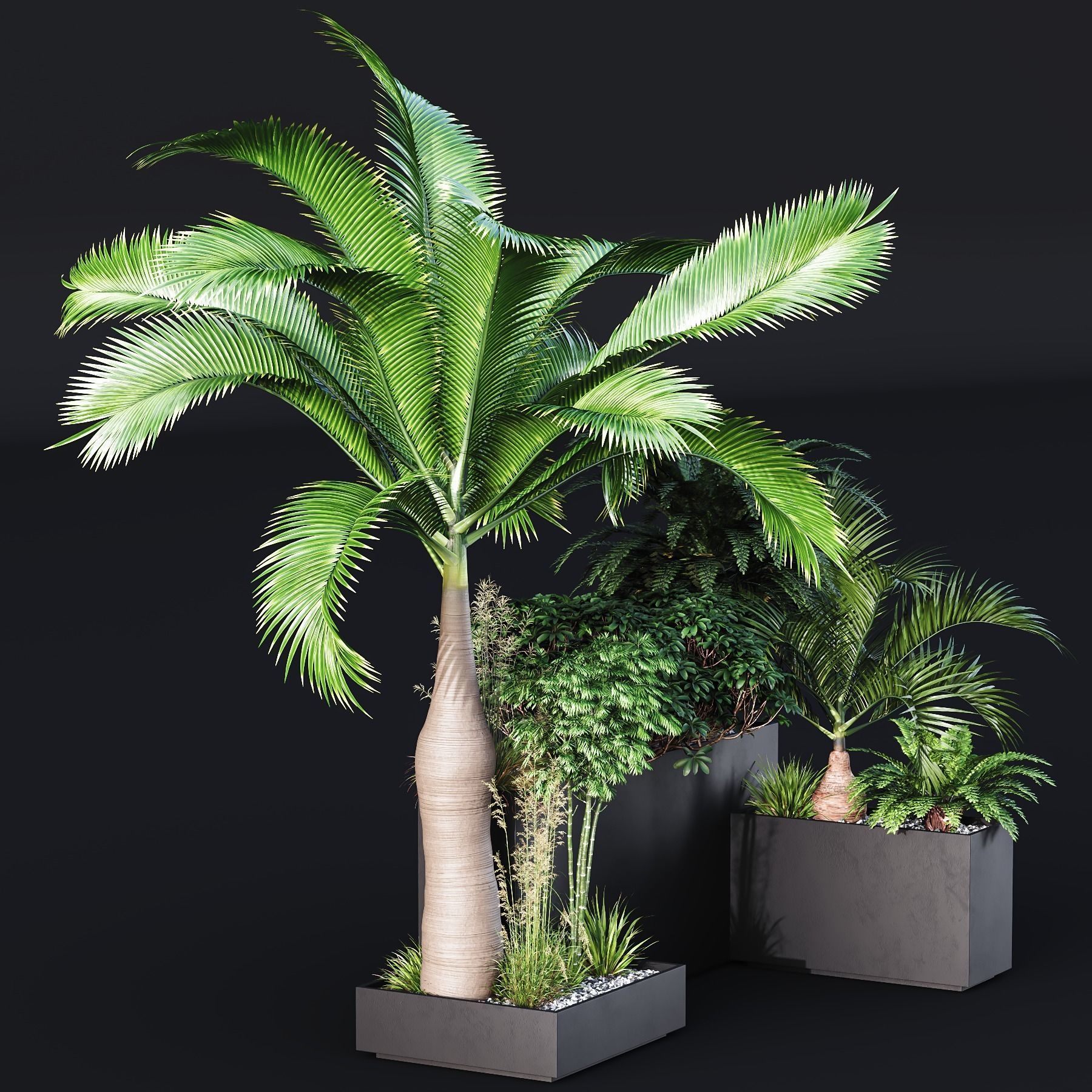 HQ Tree and bush garden box outdoor VOL 09 Free 3D model_4