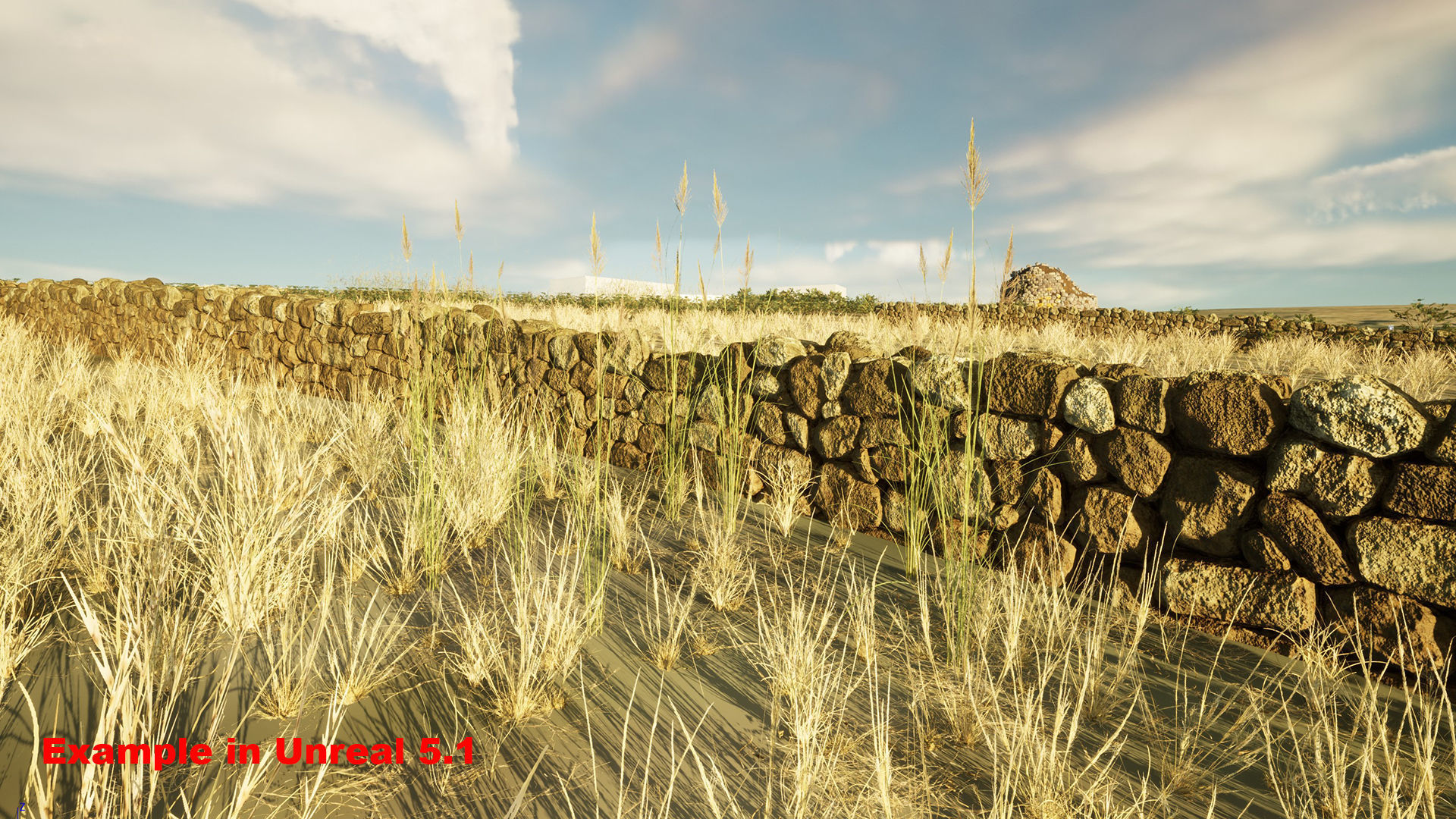 Country Style Walls Low-poly 3D model_18