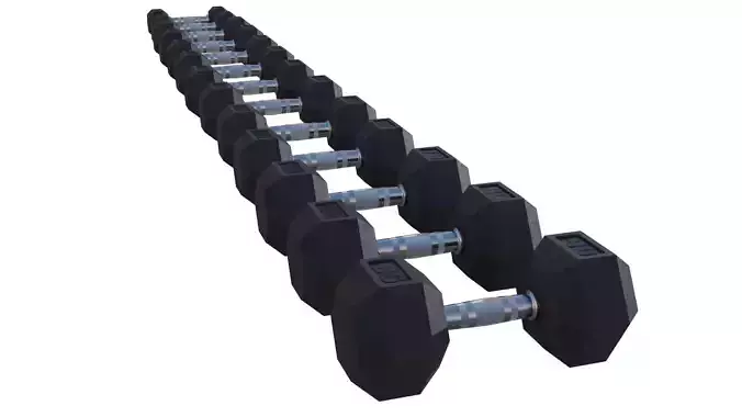Dumbbell Set