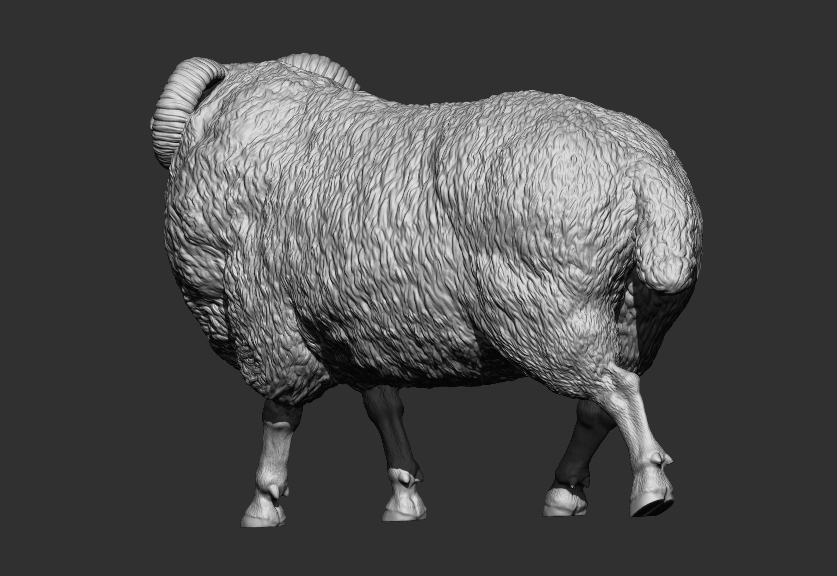 walking ram 3D print model_9