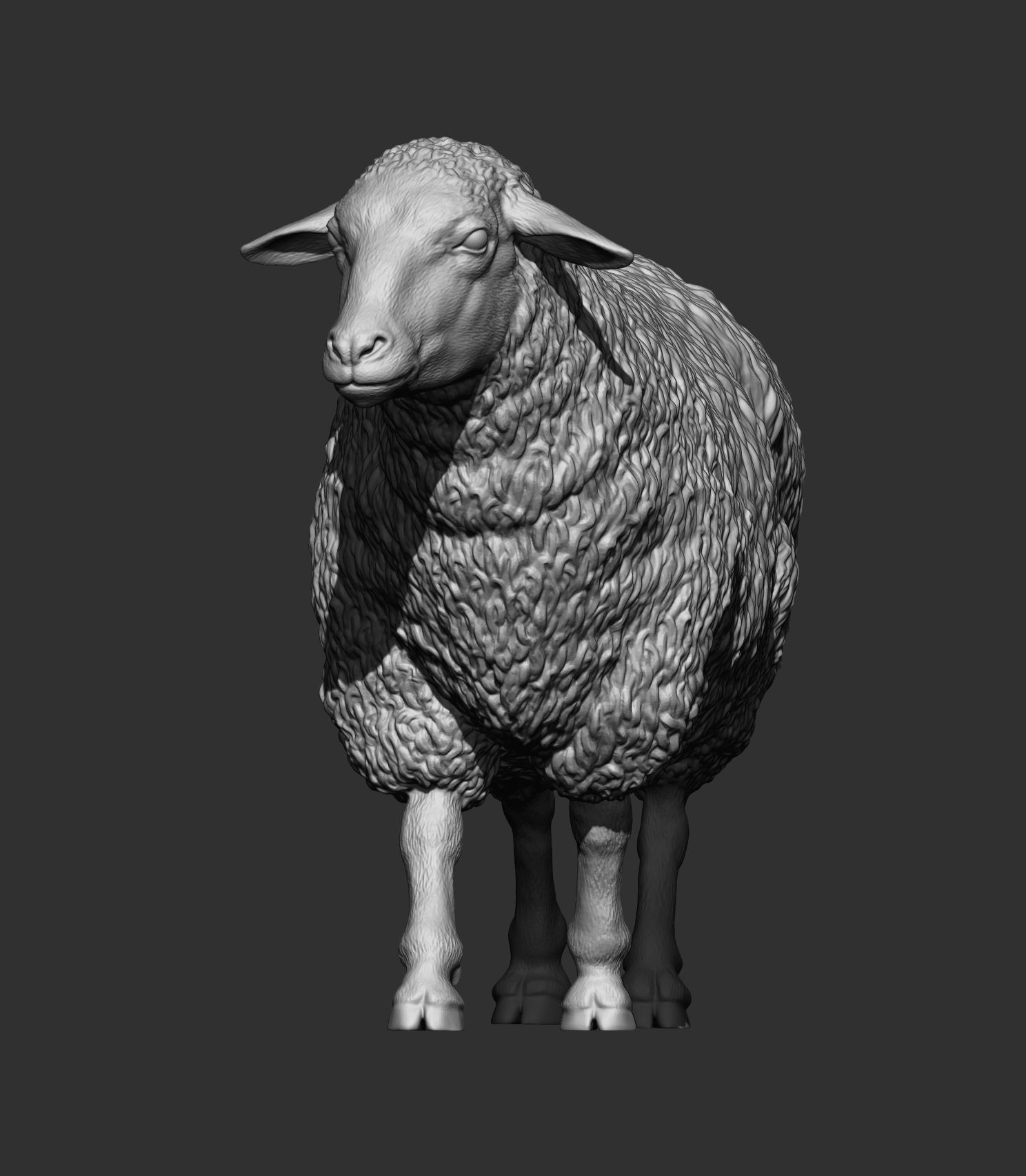 walking sheep 3D print model_9