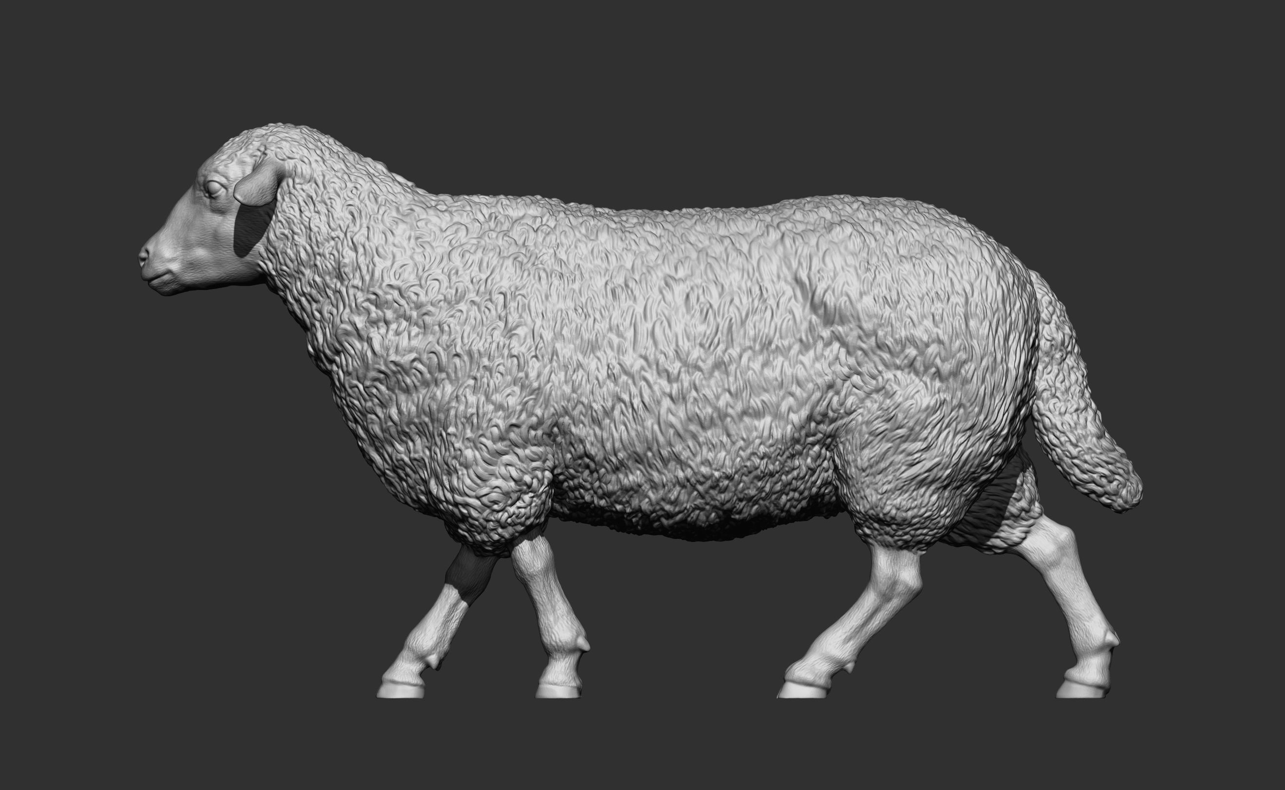 walking sheep 3D print model_7