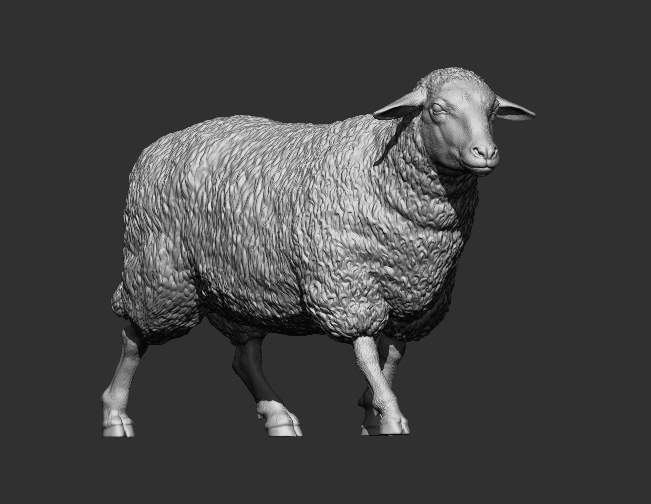 walking sheep 3D print model_10