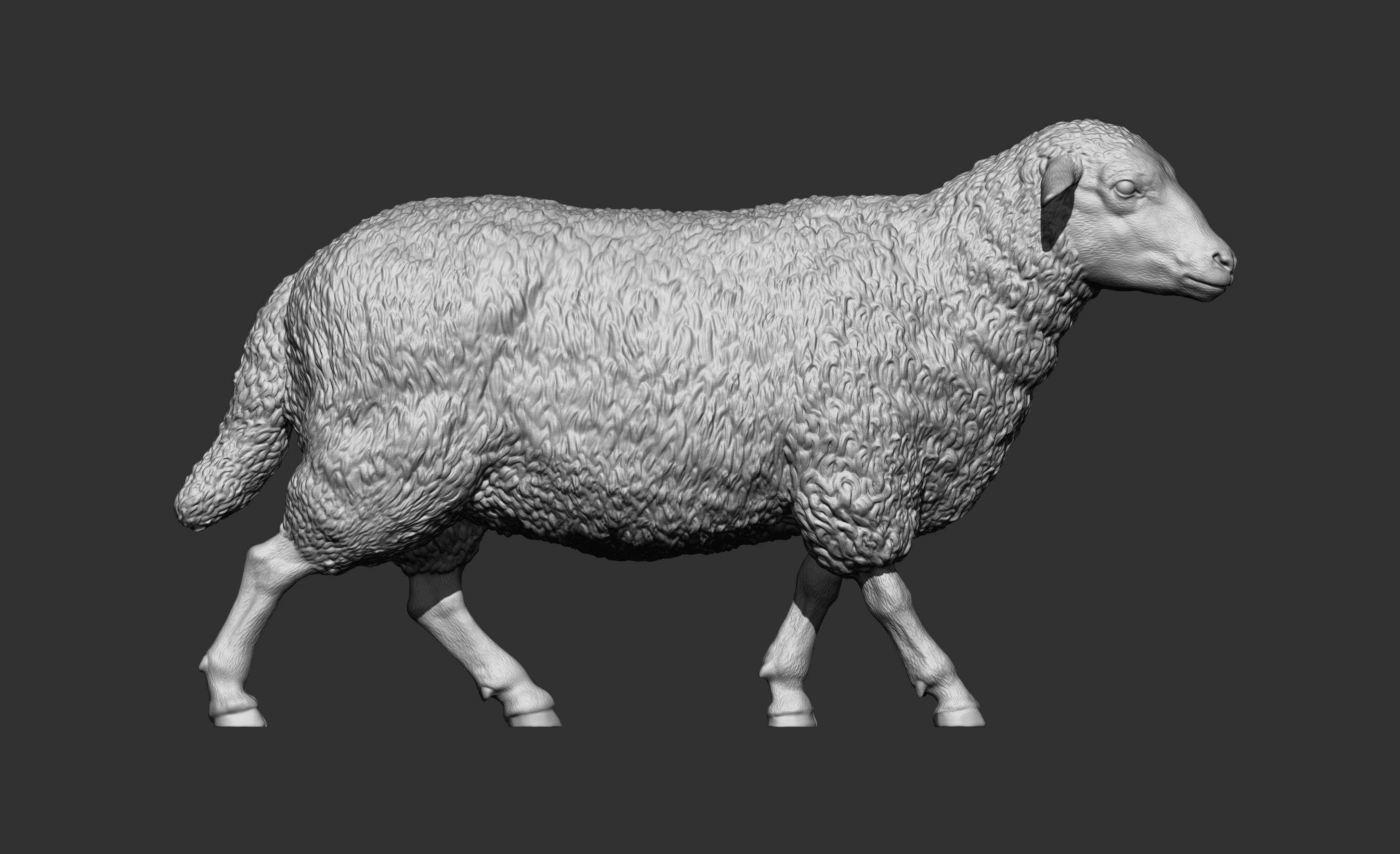 walking sheep 3D print model_11