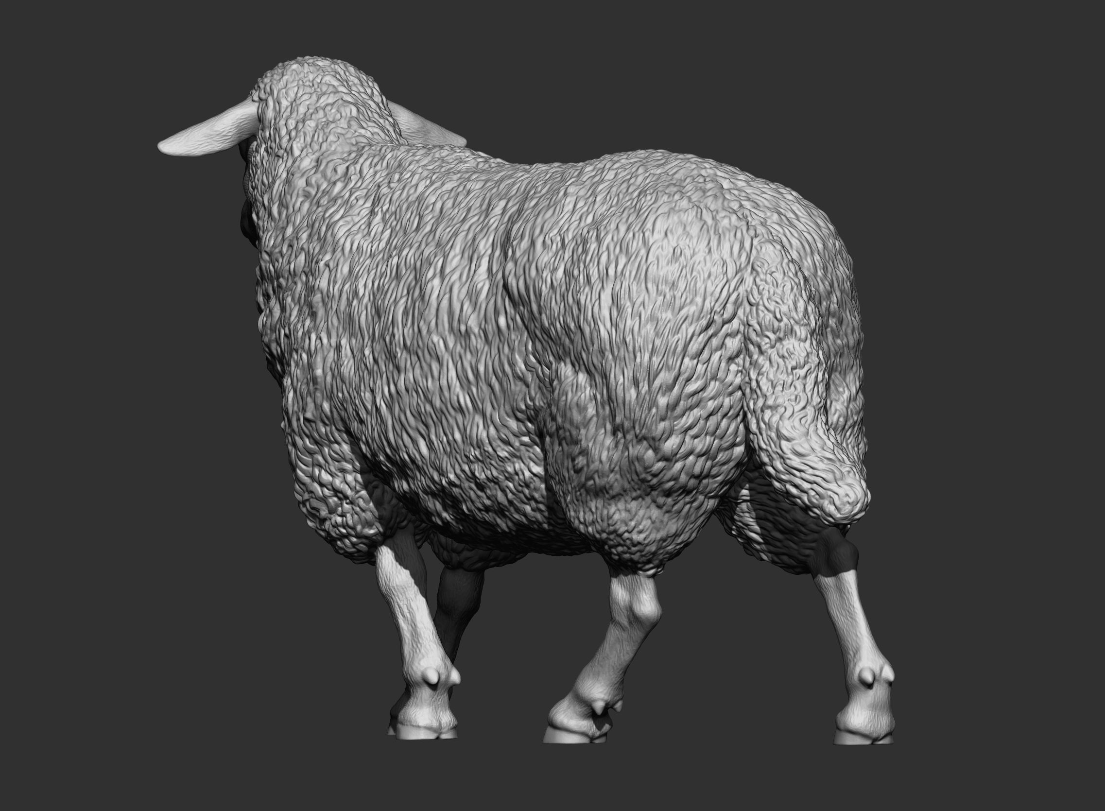 walking sheep 3D print model_8