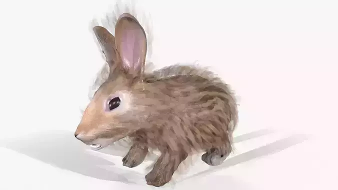 Rabbit  Animated  Low-poly 3D model
