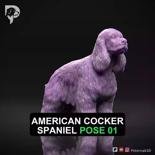 Dog 3D Print Model American Cocker Spaniel Pose 01 Ready STL