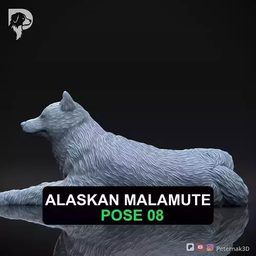 Dog 3D Print Model Alaskan Malamute Pose 08 Print Ready STL
