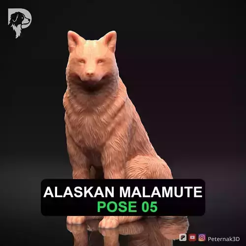Dog 3D Print Model Alaskan Malamute Pose 05 Print Ready STL