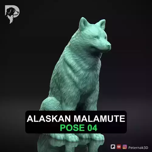 Dog 3D Print Model Alaskan Malamute Pose 04 Print Ready STL