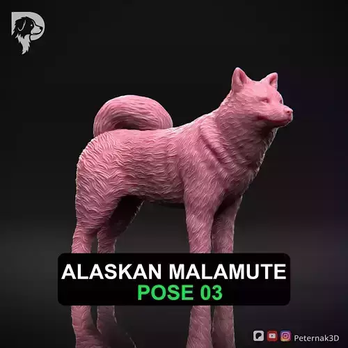 Dog 3D Print Model Alaskan Malamute Pose 03 Print Ready STL