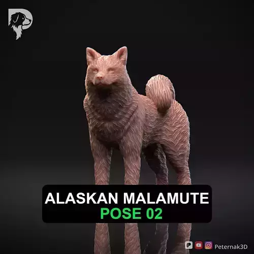 Dog 3D Print Model Alaskan Malamute Pose 02 Print Ready STL