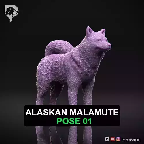 Dog 3D Print Model Alaskan Malamute Pose 01 Print Ready STL