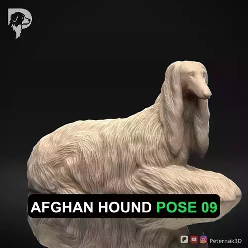 Dog 3D Print Model Afghan Hound Pose 09 Print Ready STL