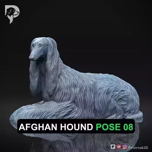 Dog 3D Print Model Afghan Hound Pose 08 Print Ready STL