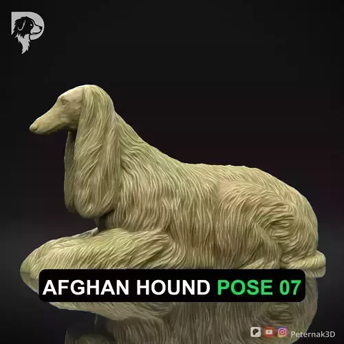 Dog 3D Print Model Afghan Hound Pose 07 Print Ready STL