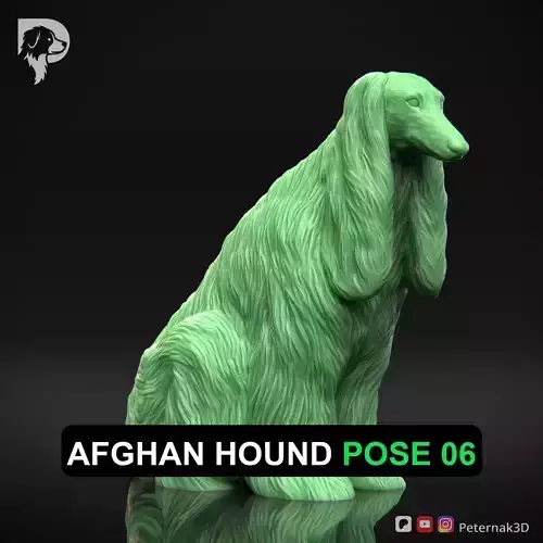 Dog 3D Print Model Afghan Hound Pose 06 Print Ready STL