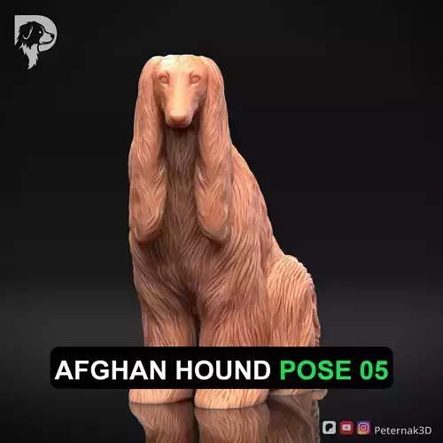 Dog 3D Print Model Afghan Hound Pose 05 Print Ready STL