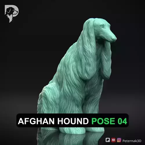 Dog 3D Print Model Afghan Hound Pose 04 Print Ready STL