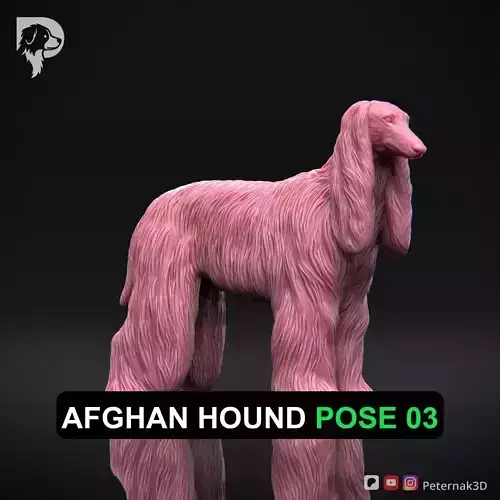 Dog 3D Print Model Afghan Hound Pose 03 Print Ready STL