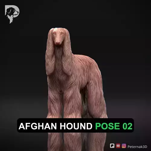Dog 3D Print Model Afghan Hound Pose 02 Print Ready STL