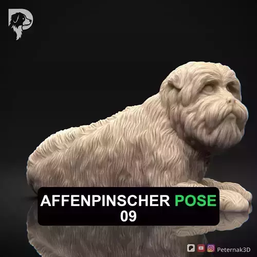 Dog 3D Print Model Affenpinscher Pose 09 Print Ready STL