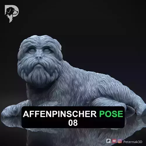 Dog 3D Print Model Affenpinscher Pose 08 Print Ready STL
