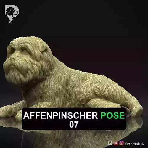 Dog 3D Print Model Affenpinscher Pose 07 Print Ready STL