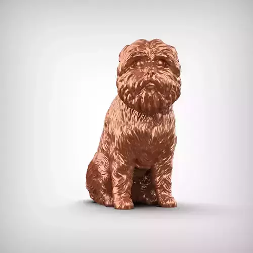 Affenpinscher Dog 3D Print Model Pose 06 3D print model