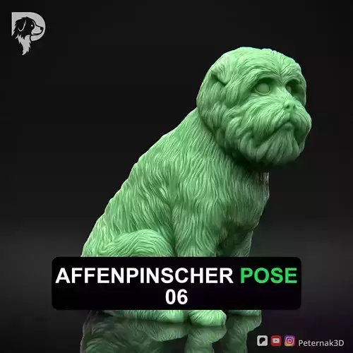 Dog 3D Print Model Affenpinscher Pose 06 Print Ready STL