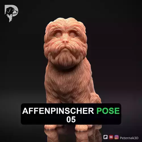 Dog 3D Print Model Affenpinscher Pose 05 Print Ready STL
