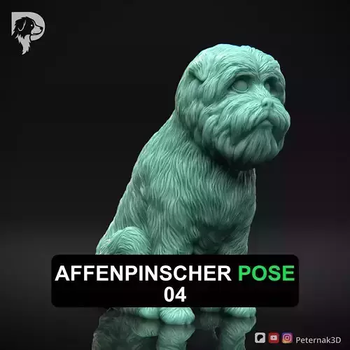 Dog 3D Print Model Affenpinscher Pose 04 Print Ready STL